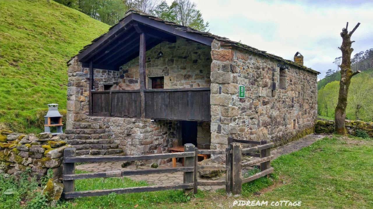 Pidream Cottage . Cabanas De Pisuena Selaya ภายนอก รูปภาพ